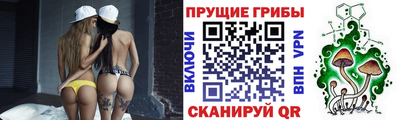 Псилоцибиновые грибы прущие грибы что такое Липецк