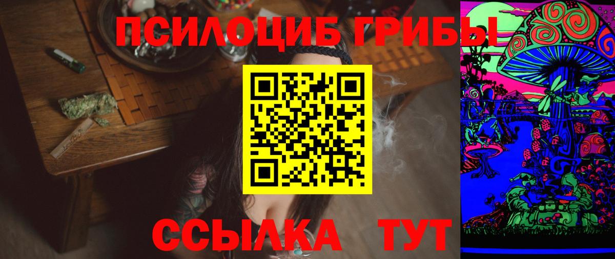Псилоцибиновые грибы прущие грибы Липецк