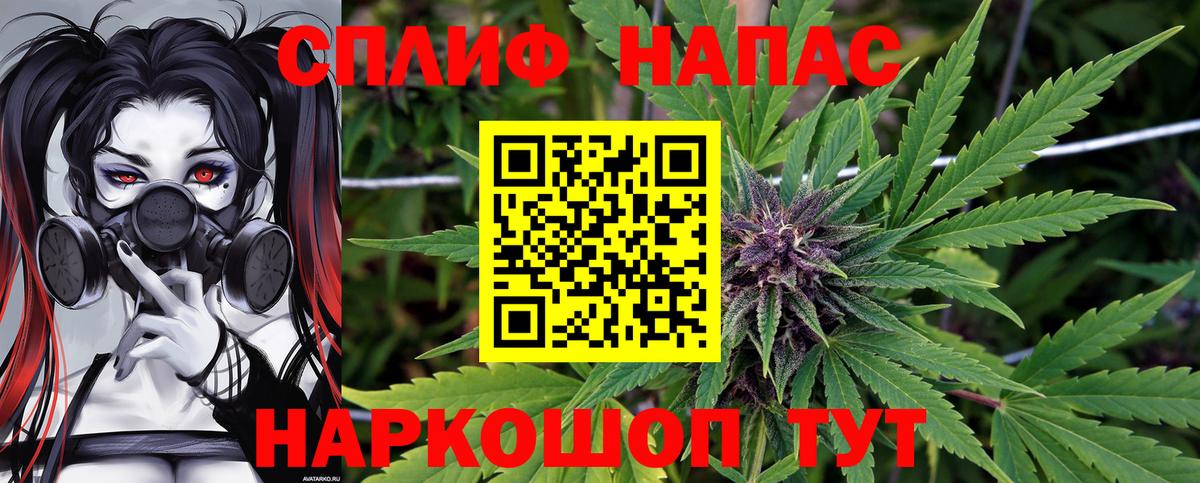 Шишки марихуана семена  Бошки Шишки сатива  Марихуана Bruce Banner  Марихуана конопля  Липецк  Вход с VPN 